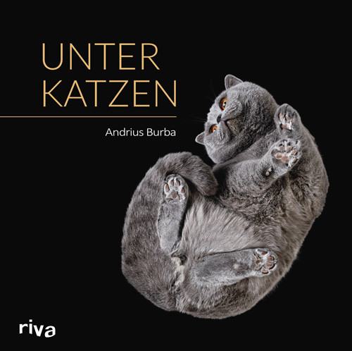 unter-katzen_cover_500px