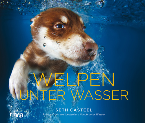 Welpen_500